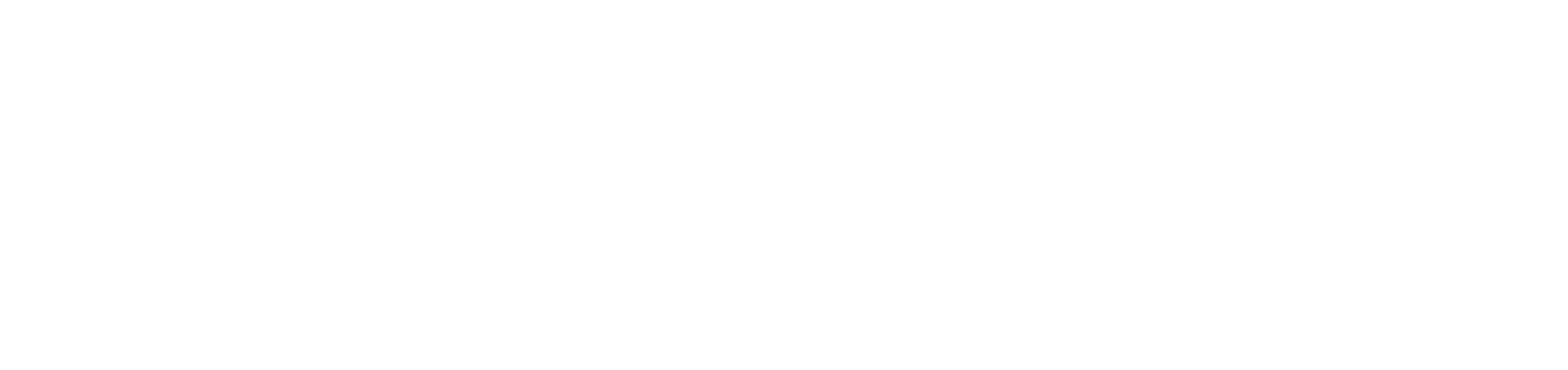 Valls — Valls logosu